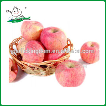 Fresco manzana fuji / Nueva cosecha Fuji Apple / Fuji manzana